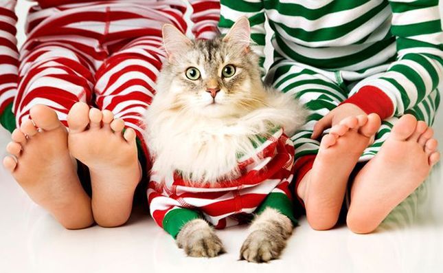 d627184968209f13128bba4f53ee219b